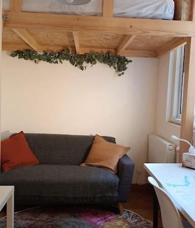 Petit Mignon - Hypercentre Toulouse Apartment Екстериор снимка
