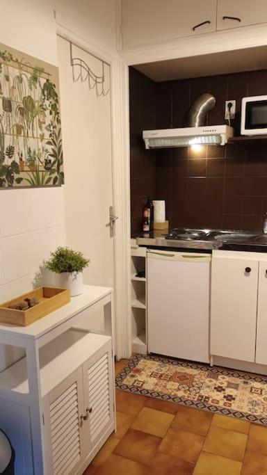 Petit Mignon - Hypercentre Toulouse Apartment Екстериор снимка
