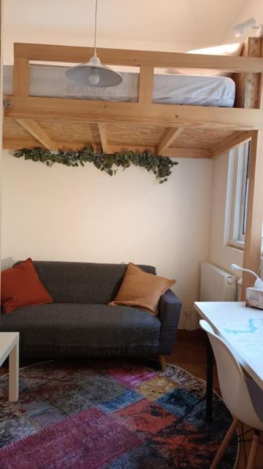 Petit Mignon - Hypercentre Toulouse Apartment Екстериор снимка